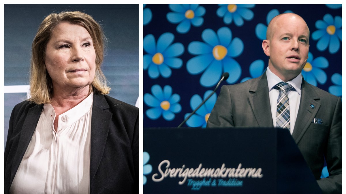 SVT svarar nu på kritiken från SD-ledamoten Björn Söder.